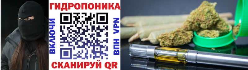 МАРИХУАНА White Widow  Вышний Волочёк 